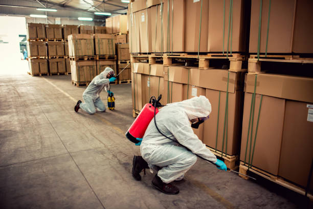 Best Local Pest Control Services  in Palmetto, GA