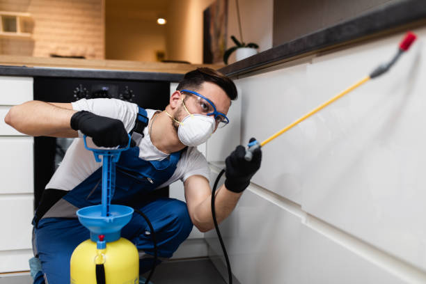 Best Mosquito Control Services  in Palmetto, GA