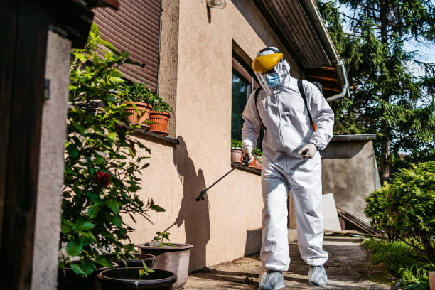 Best Termite Control Services  in Palmetto, GA