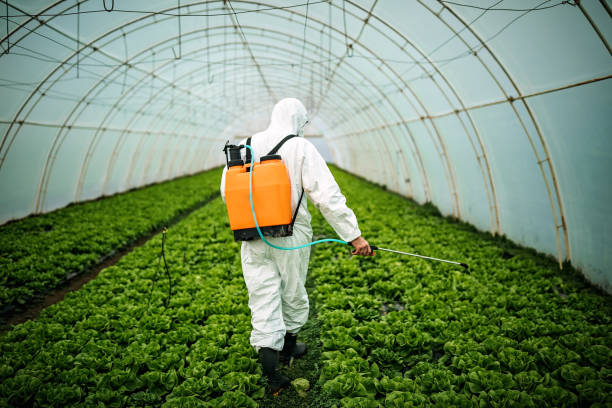 Best Affordable Exterminators  in Palmetto, GA