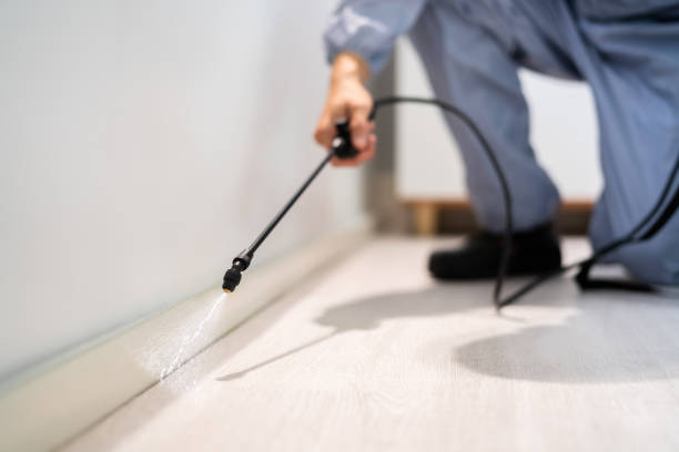 Professional Pest Control in Palmetto, GA