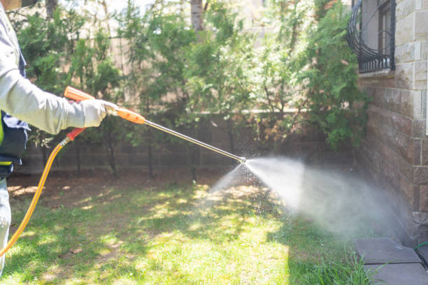Best Affordable Pest Control Services  in Palmetto, GA