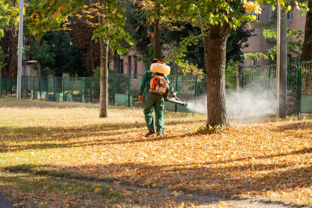 Best Spider Control Near Me  in Palmetto, GA