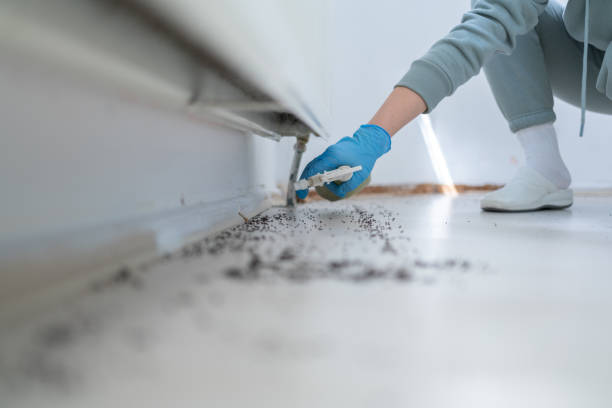 Best Cockroach Control Services  in Palmetto, GA